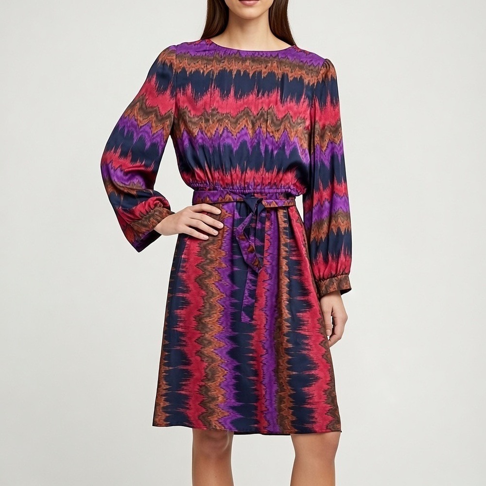 Schrader Sport Petites Vintage Purple Ikat Zigzag Belted Long Sleeve Dress 10P